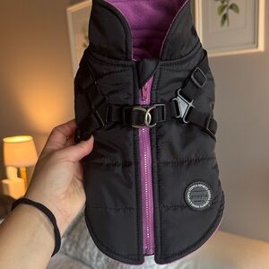 Puppia Mountaineer II Dog Vest